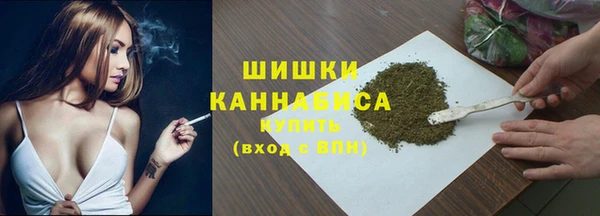 шишки Арсеньев