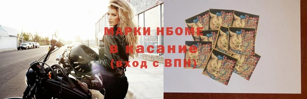 шишки Арсеньев