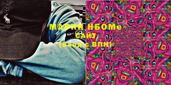 шишки Арсеньев