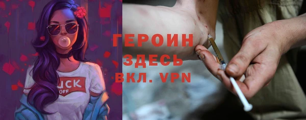 шишки Арсеньев