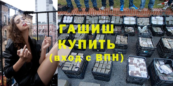 шишки Арсеньев