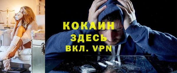 шишки Арсеньев