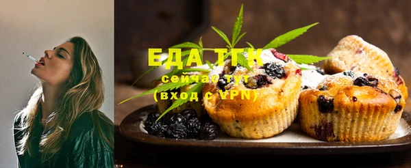шишки Арсеньев