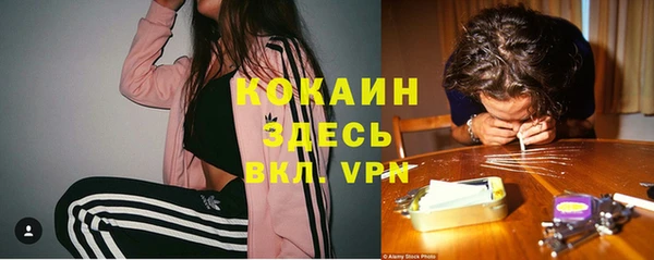 шишки Арсеньев