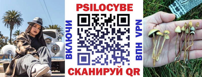 Галлюциногенные грибы прущие грибы  Малая Вишера 